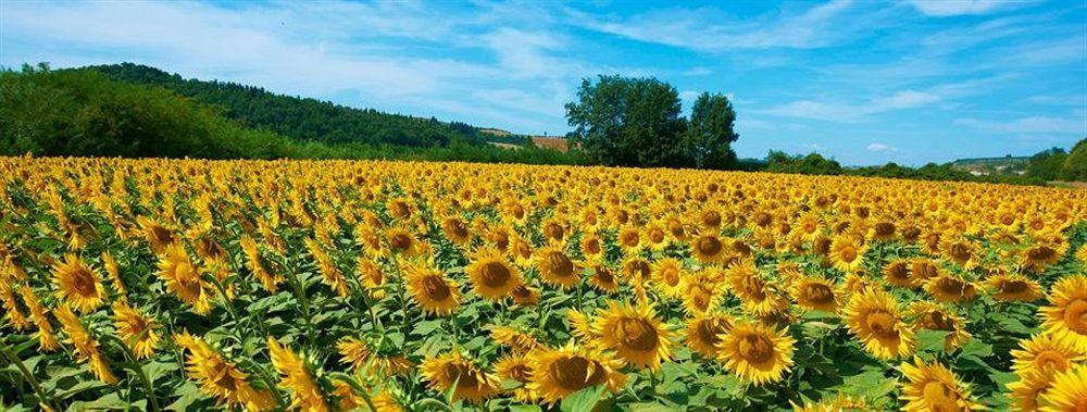 Hotel La Tabaccaia Montaione Dış mekan fotoğraf